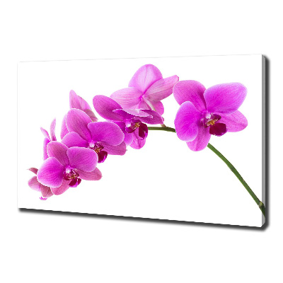 Schilderij op canvas Roze orchidee