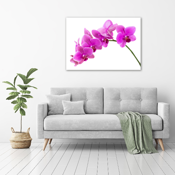 Schilderij op canvas Roze orchidee