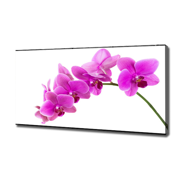 Schilderij op canvas Roze orchidee