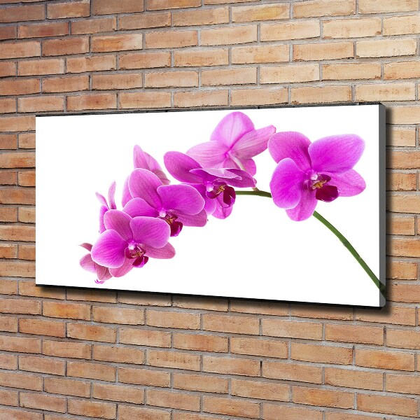 Schilderij op canvas Roze orchidee
