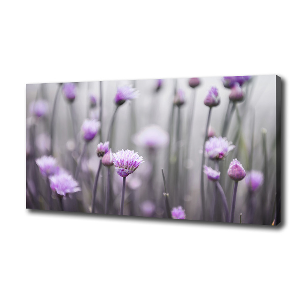 Foto canvas Bieslookbloemen