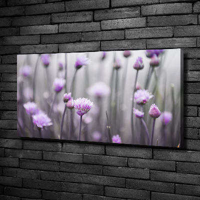 Foto canvas Bieslookbloemen