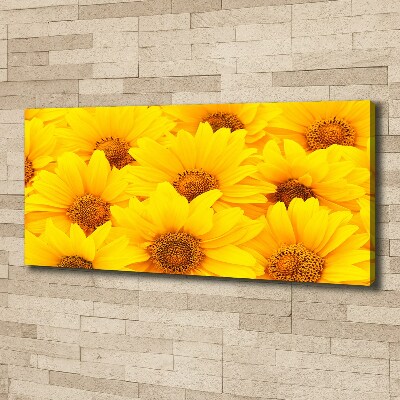 Foto op canvas Zonnebloemen