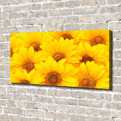 Foto op canvas Zonnebloemen