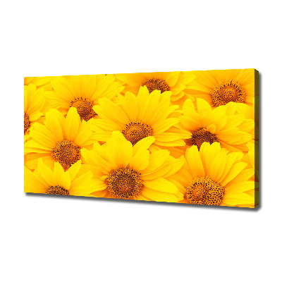 Foto op canvas Zonnebloemen