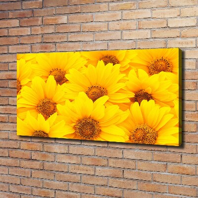 Foto op canvas Zonnebloemen