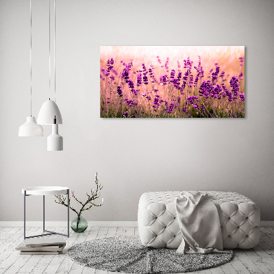 Canvas foto Lavendel