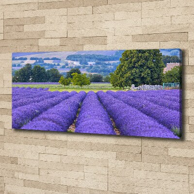 Canvas foto Lavendelveld