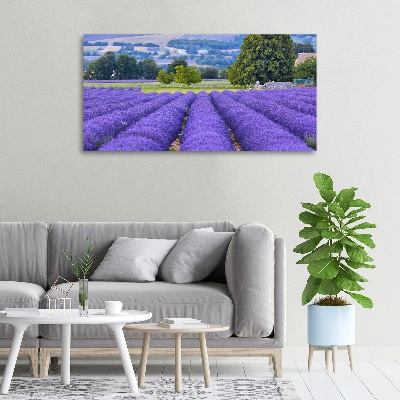 Canvas foto Lavendelveld