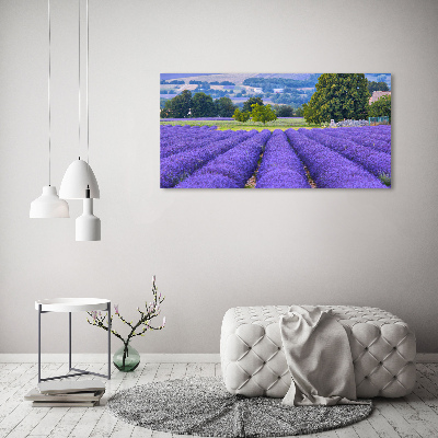 Canvas foto Lavendelveld