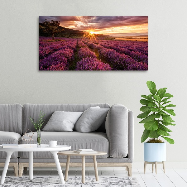 Schilderij op canvas Lavendelveld