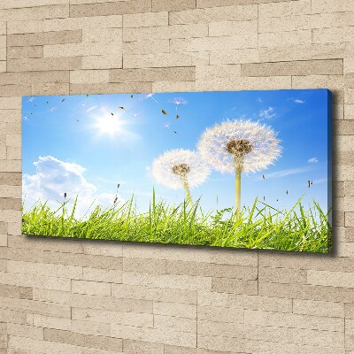 Foto canvas Paardenbloemen