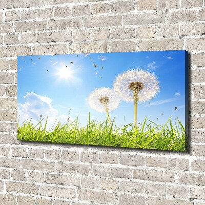 Foto canvas Paardenbloemen