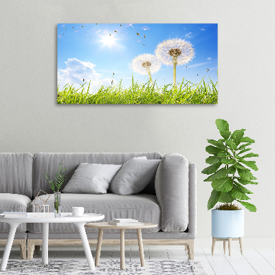 Foto canvas Paardenbloemen