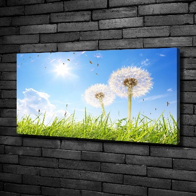 Foto canvas Paardenbloemen