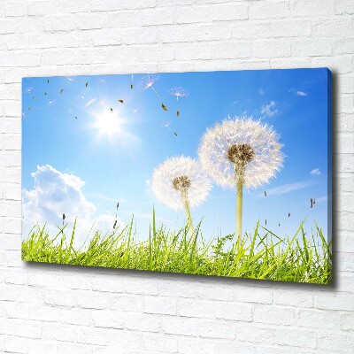Foto canvas Paardenbloemen