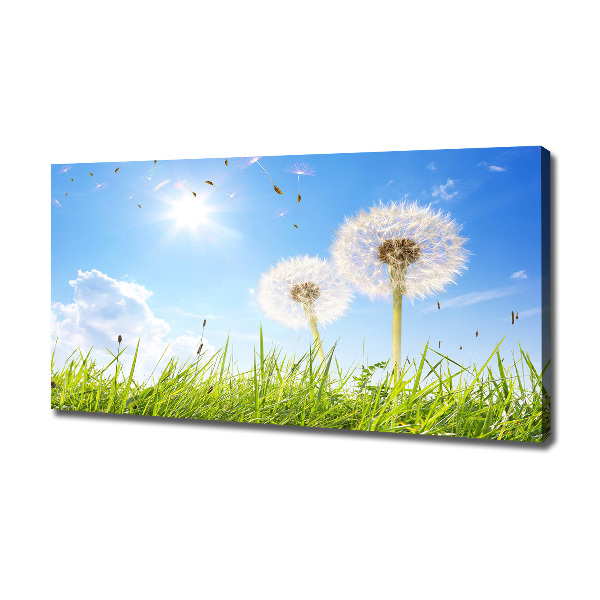 Foto canvas Paardenbloemen