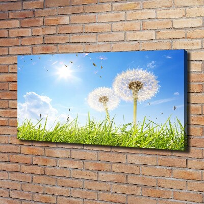 Foto canvas Paardenbloemen
