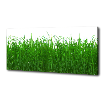 Foto op canvas Gras