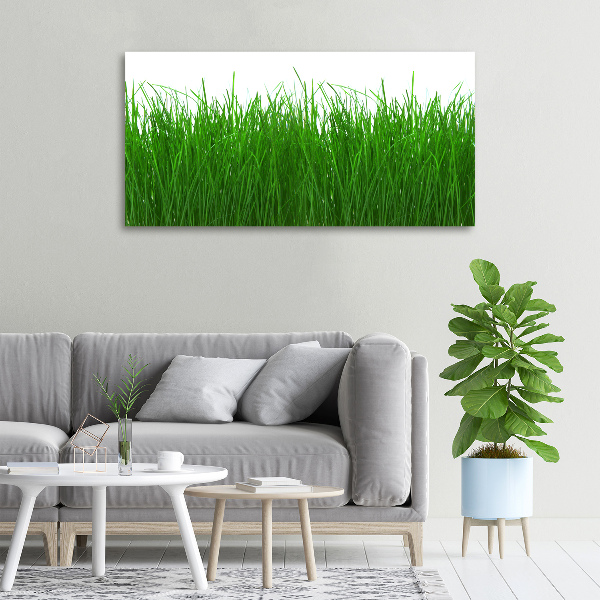 Foto op canvas Gras