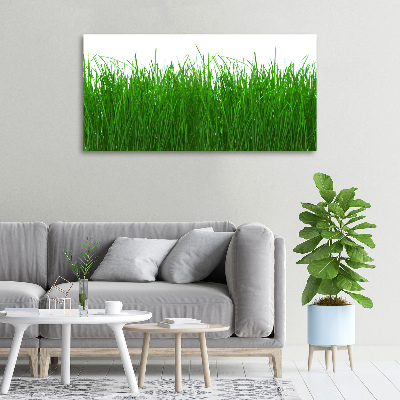 Foto op canvas Gras