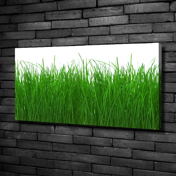 Foto op canvas Gras