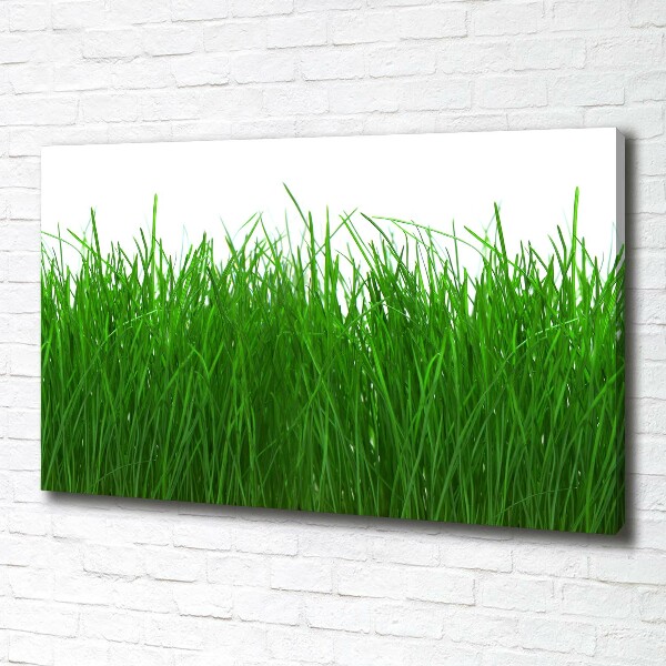 Foto op canvas Gras