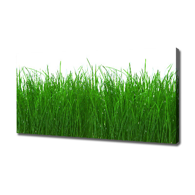 Foto op canvas Gras