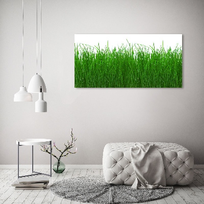 Foto op canvas Gras