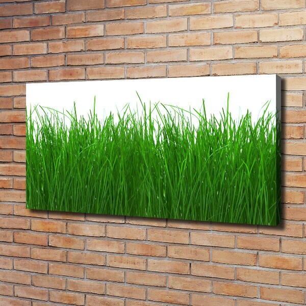 Foto op canvas Gras