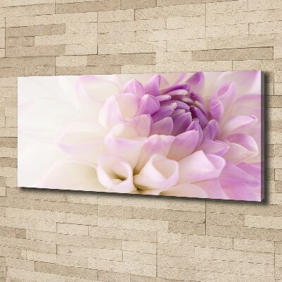 Schilderij op canvas Witte dahlia
