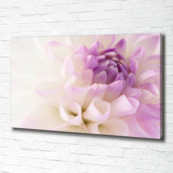Schilderij op canvas Witte dahlia