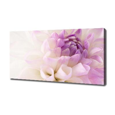 Schilderij op canvas Witte dahlia