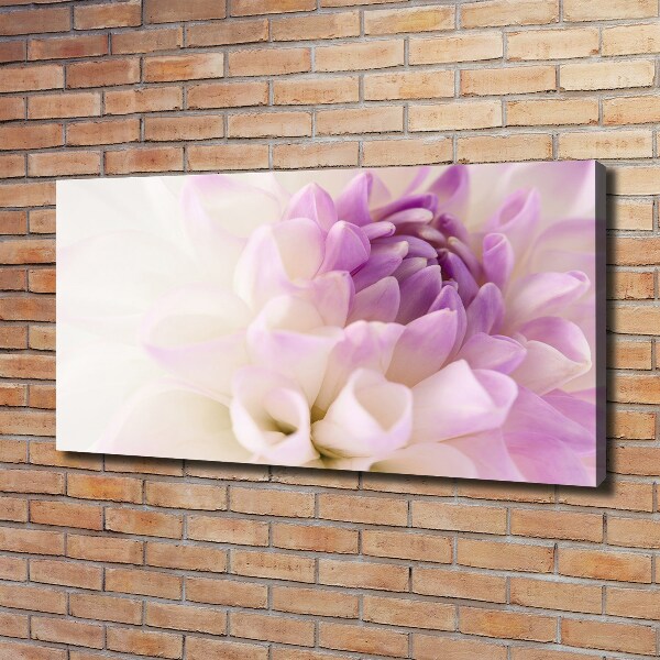 Schilderij op canvas Witte dahlia