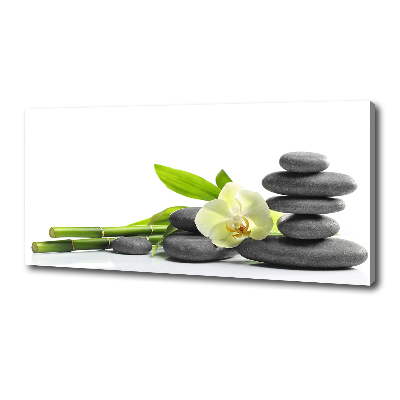 Foto canvas Orchidee