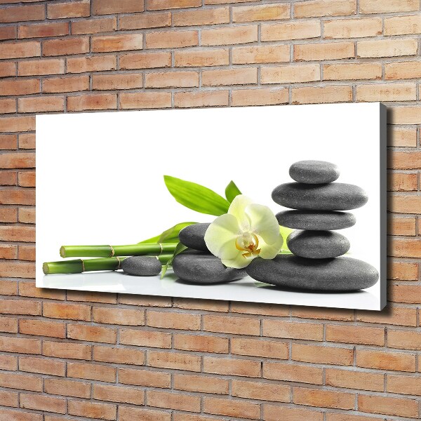 Foto canvas Orchidee