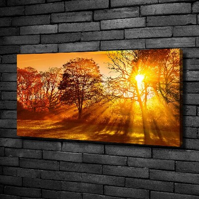 Schilderij op canvas Zonsondergang