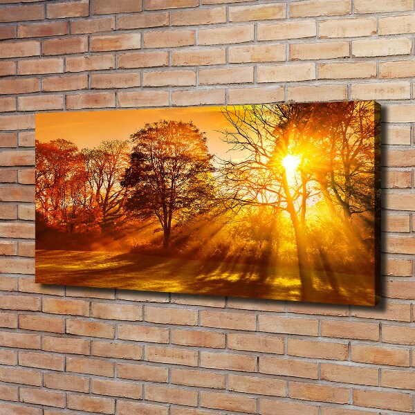 Schilderij op canvas Zonsondergang