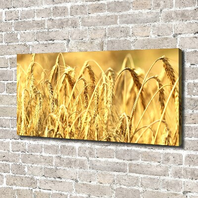 Foto canvas Graan