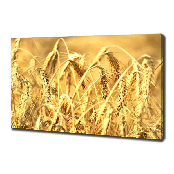 Foto canvas Graan