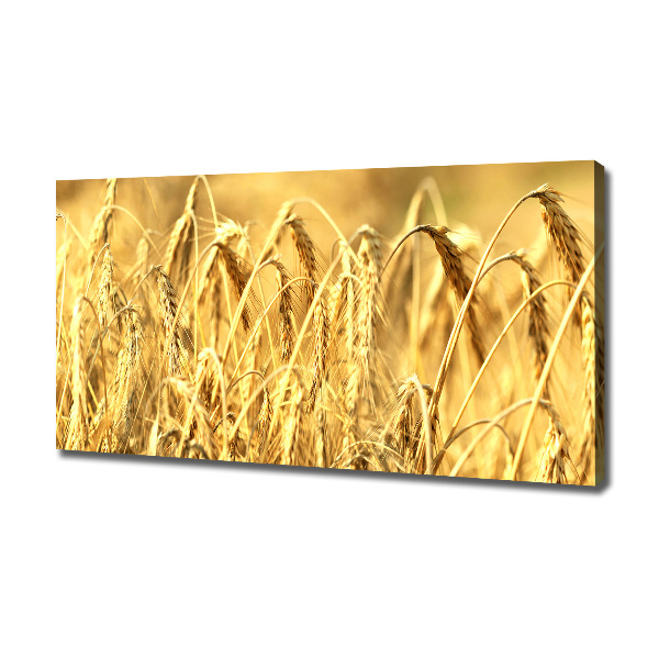 Foto canvas Graan