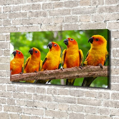 Foto op canvas Papegaaien op een tak