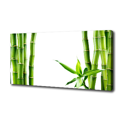 Foto op canvas Bamboe