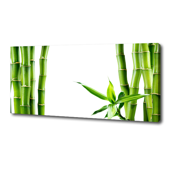 Foto op canvas Bamboe