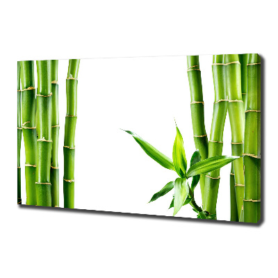 Foto op canvas Bamboe