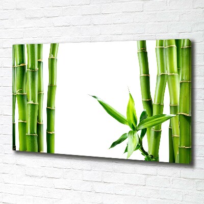 Foto op canvas Bamboe