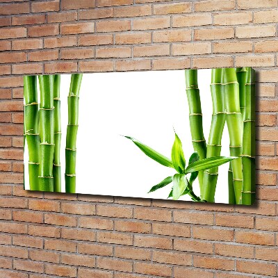 Foto op canvas Bamboe