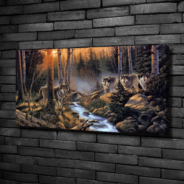 Canvas foto Een roedel wolven