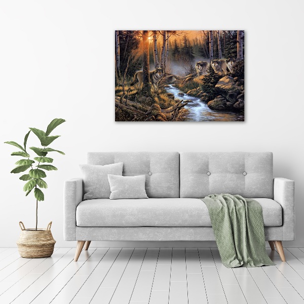 Canvas foto Een roedel wolven