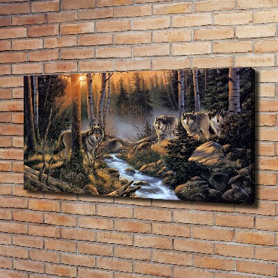 Canvas foto Een roedel wolven